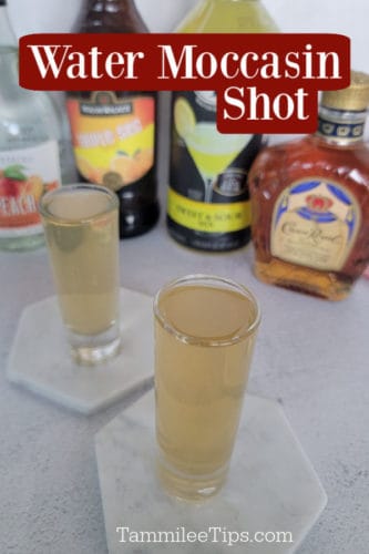 Water Moccasin Shot - Tammilee Tips