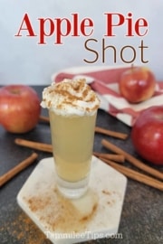 Apple Pie Shot Recipe Video Tammilee Tips   Apple Pie Shot Recipe 180x270 