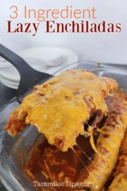 3 Ingredient Lazy Enchiladas (Viral TikTok Recipe) - Tammilee Tips