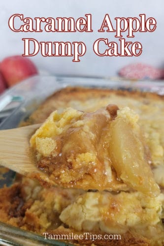 Easy 4 Ingredient Caramel Apple Dump Cake - Tammilee Tips