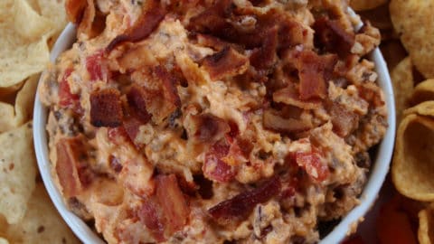 Bacon Cheeseburger Crock Pot Dip - Recipes That Crock!