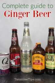 Complete Guide to Ginger Beer Cocktails - Tammilee Tips