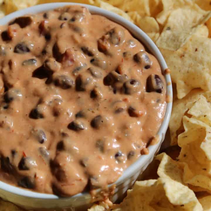 Easy Crock Pot Black Bean Queso Dip Recipe