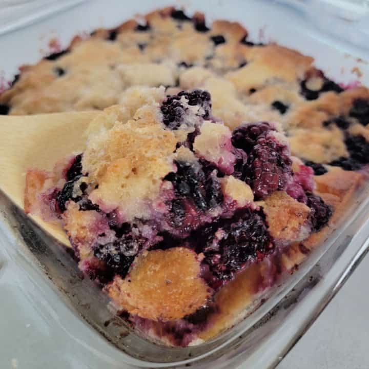 Bisquick Blackberry Cobbler Tammilee Tips