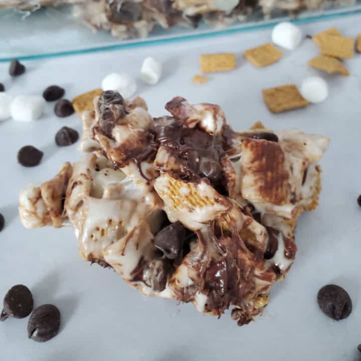 Smores Golden Graham Bars Recipe {Video} - Tammilee Tips