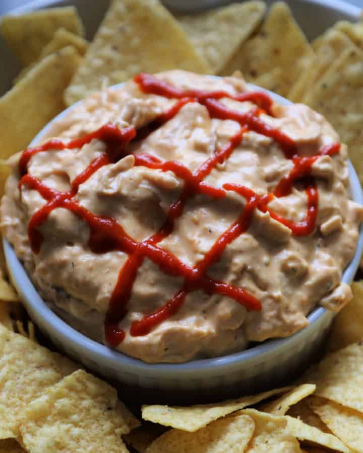 https://www.tammileetips.com/wp-content/uploads/2023/04/Cheesy-Crock-Pot-Sriracha-Chicken-Dip-Recipe-720x900.jpg