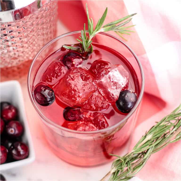Spiced Cranberry Cocktail Recipe - Tammilee Tips