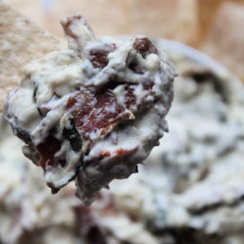 https://www.tammileetips.com/wp-content/uploads/2023/05/Crock-Pot-Bacon-Blue-Cheese-Dip-500x500.jpg