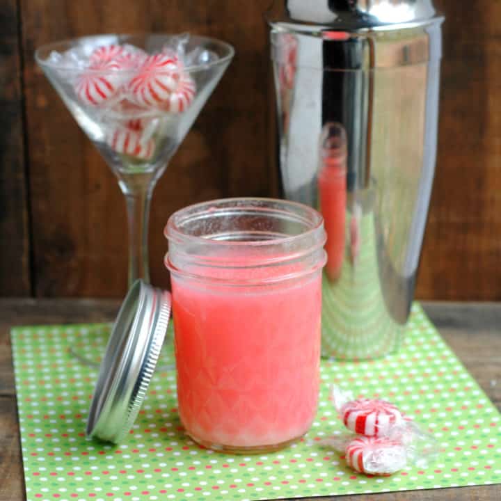 Homemade Peppermint Vodka Made From Candy - Tammilee Tips